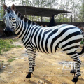 Garden animal sculpture fiberglass life size zebra statue for sale